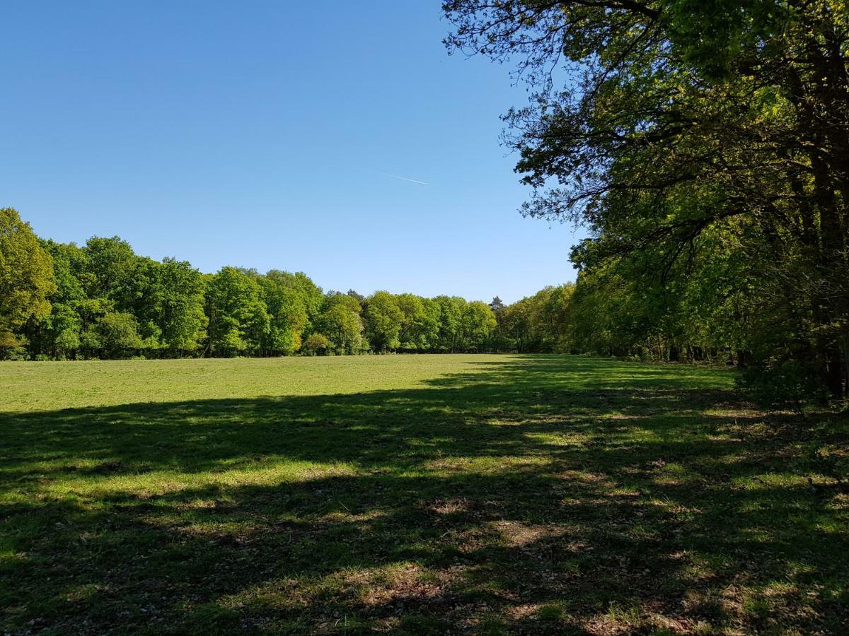 Knusse Bungalow Otterlo Veluwe Екстер'єр фото