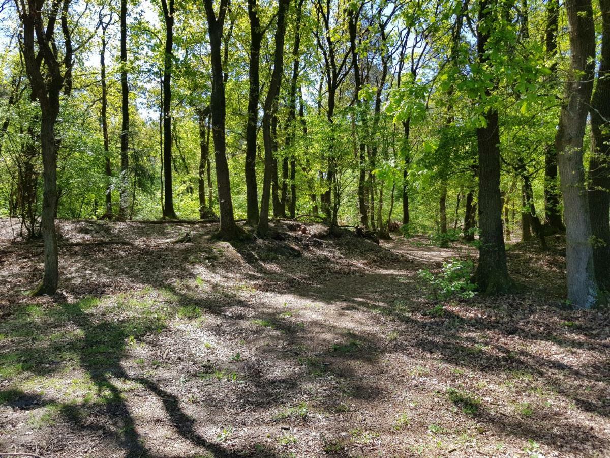 Knusse Bungalow Otterlo Veluwe Екстер'єр фото